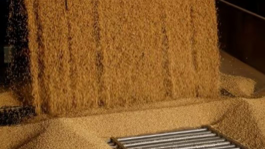 Soybeans are unloaded at a silo, in San Antonio, Paraguay. (Reuters Photo)