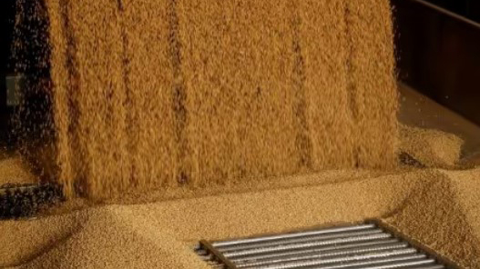 Soybeans are unloaded at a silo in San Antonio, Paraguay. (Reuters Photo)